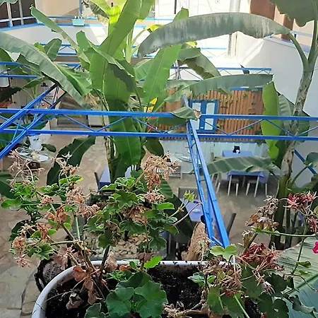 Sebat מלון 2*